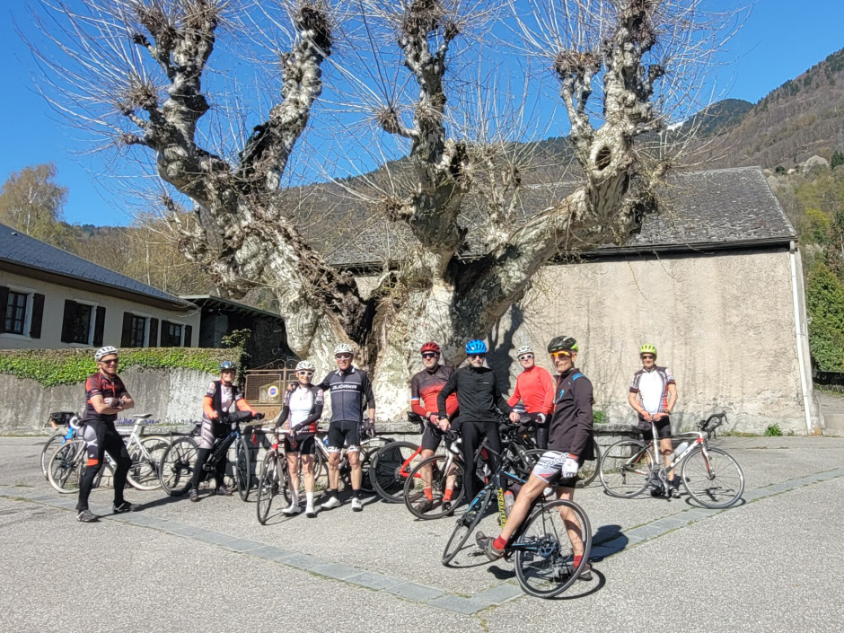 Pause sous le platane